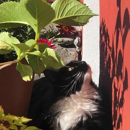 In The Heart Of * Берген