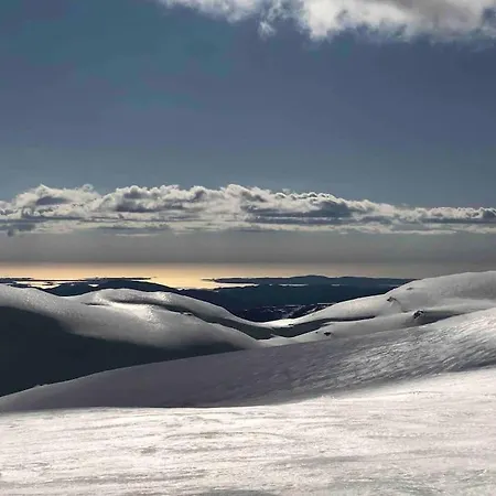 In The Heart Of * Bergen