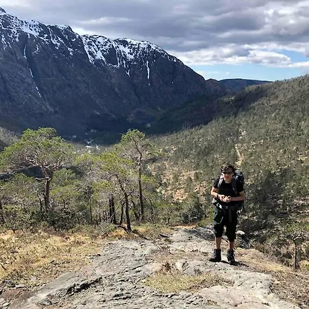 In The Heart Of Apartment *