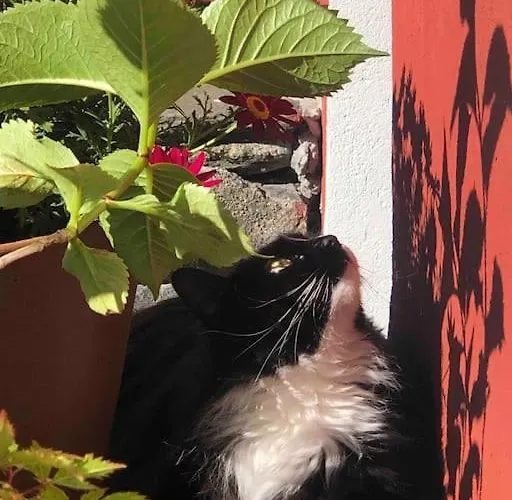 In The Heart Of * Берген